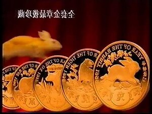 1999 兔年